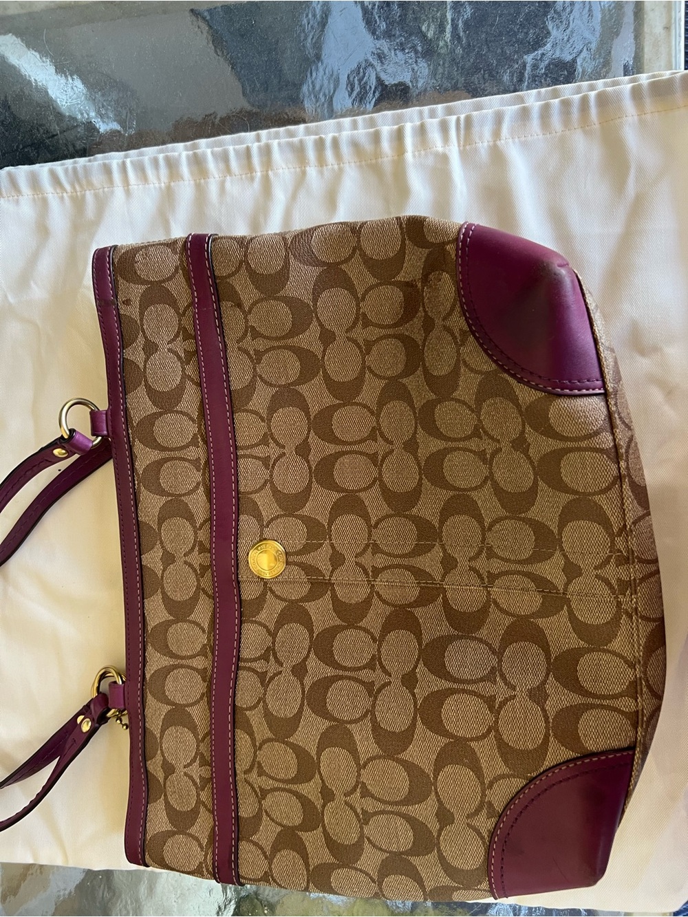 Coach Signature Canvas Tote with Plum Leather Trim